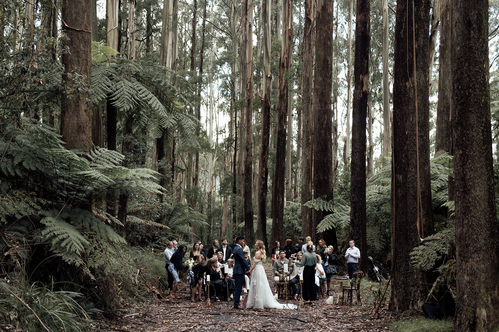 Elopement in the forest near Melbourne