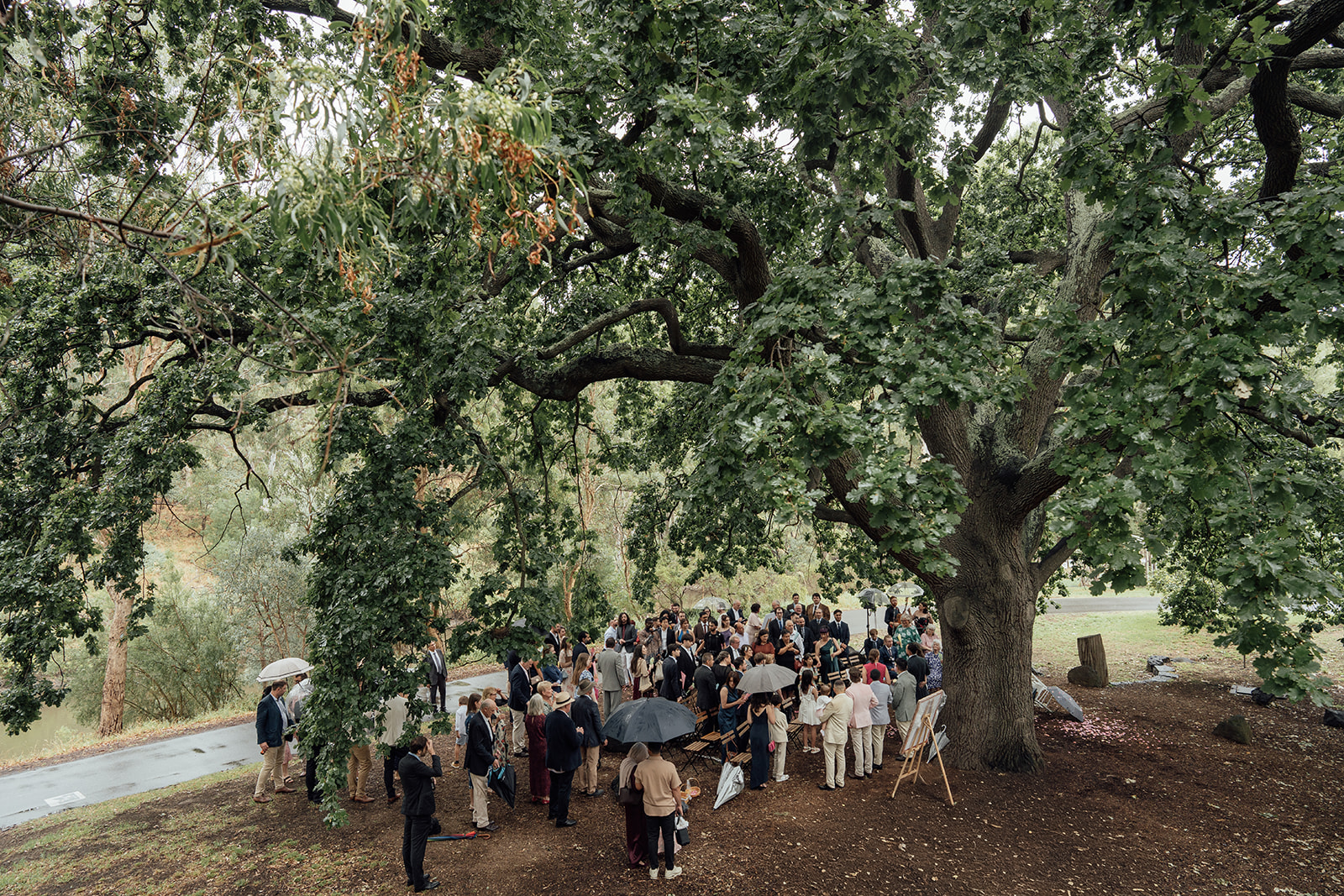 Wedding ceremony at Collingwood Children’s Farm under large tree